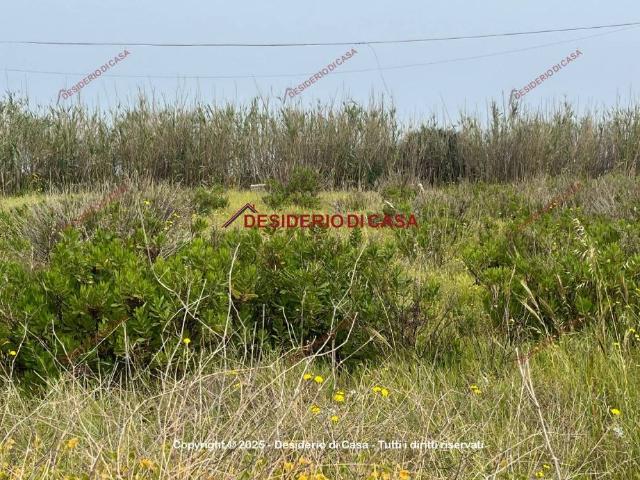 Terreno in vendita a Trabia PA