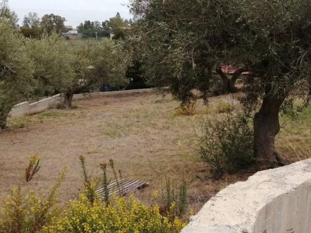 Terreno in vendita a Trabia PA