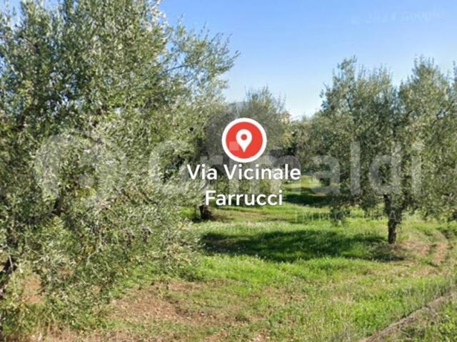 Terreno in vendita a Trani BT