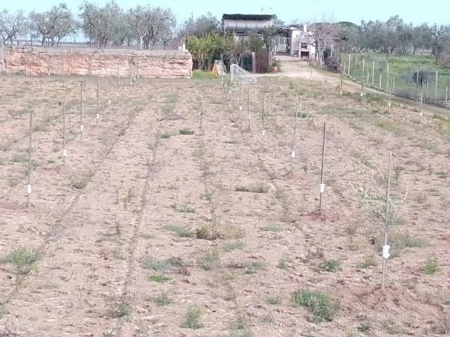 Terreno in vendita a Trani BT