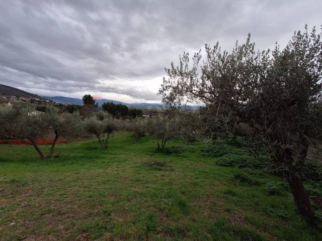 Terreno in vendita a Trevi PG