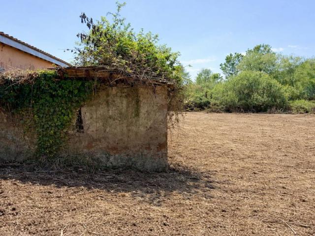Terreno in vendita a Trevignano Romano RM