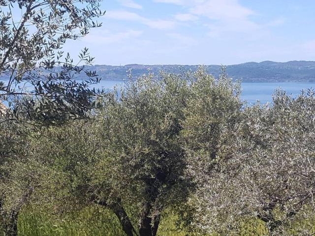 Terreno in vendita a Trevignano Romano RM