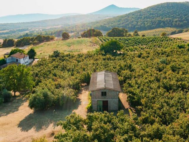 Terreno in vendita a Trevignano Romano RM