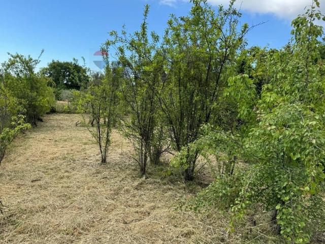 Terreno in vendita a Trecastagni CT