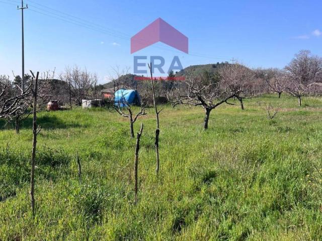 Terreno in vendita a Trecastagni CT