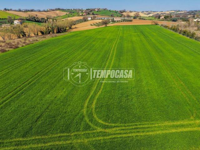 Terreno in vendita a Trecastelli AN