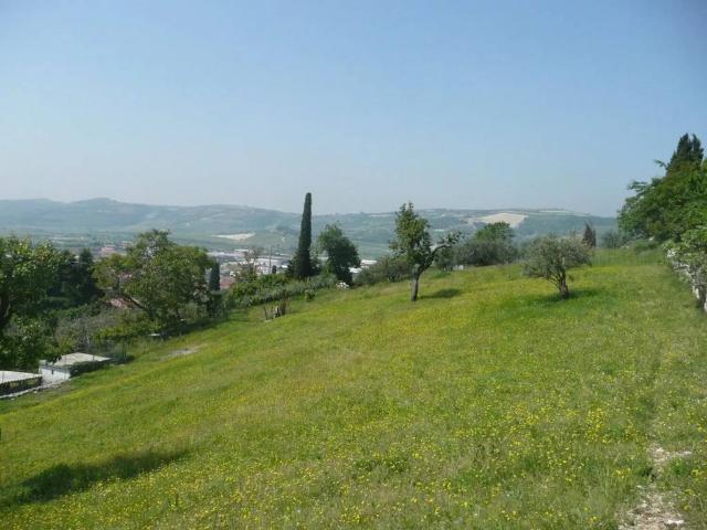 Terreno in vendita a Tregnago VR