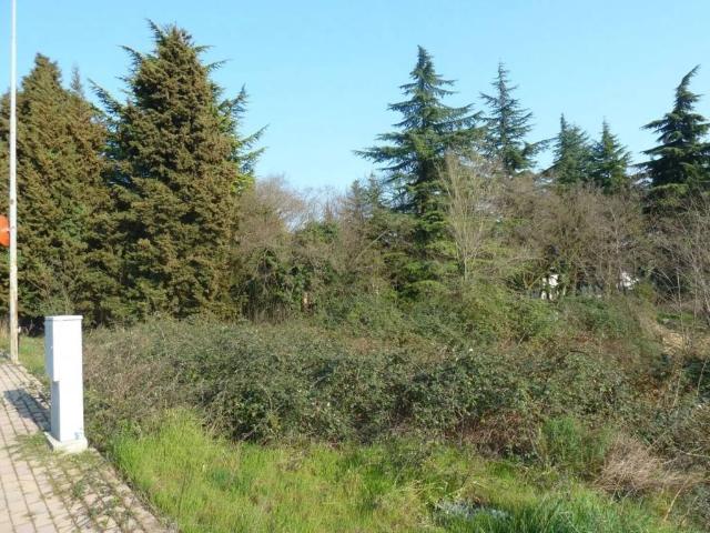 Terreno in vendita a Tregnago VR