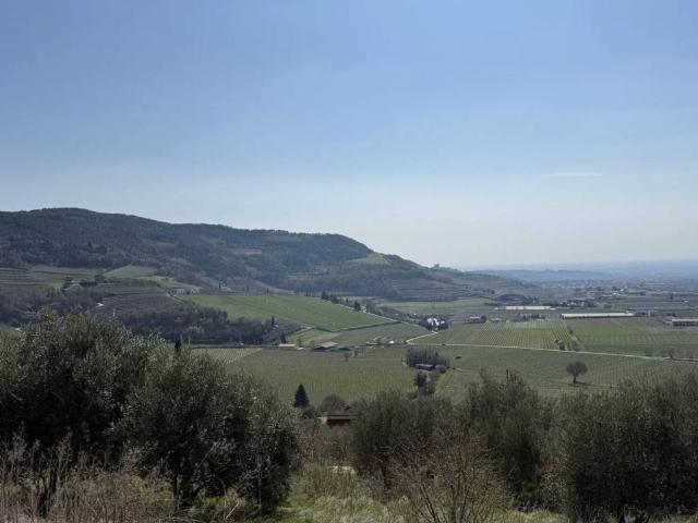 Terreno in vendita a Tregnago VR