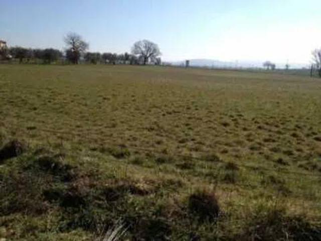 Terreno in vendita a Treia MC
