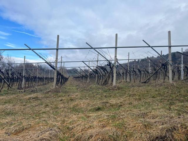 Terreno in vendita a Trento TN