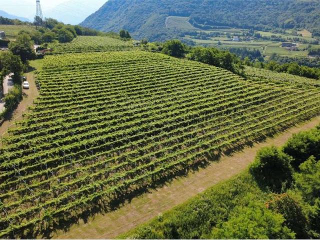 Terreno in vendita a Trento TN