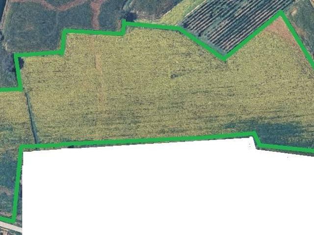 Terreno in vendita a Tribano PD