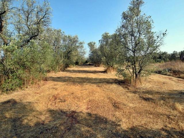 Terreno in vendita a Tricase LE