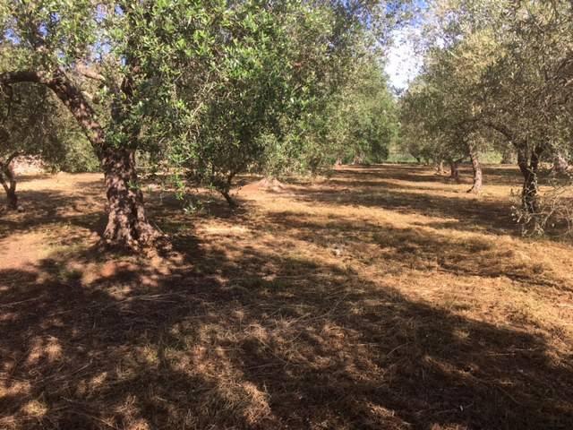 Terreno in vendita a Tricase LE