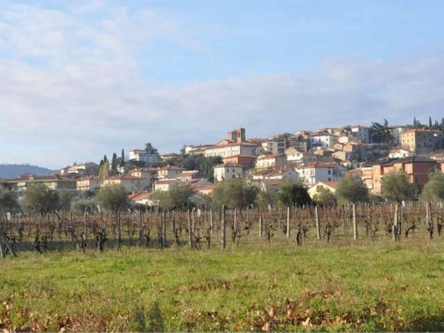 Terreno in vendita a Tuoro sul Trasimeno PG