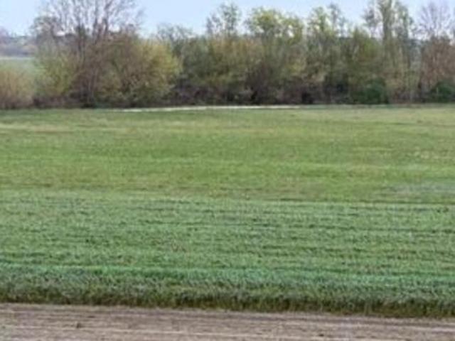 Terreno agricolo in vendita a Turano Massa 1850 mq Rif: 1288661