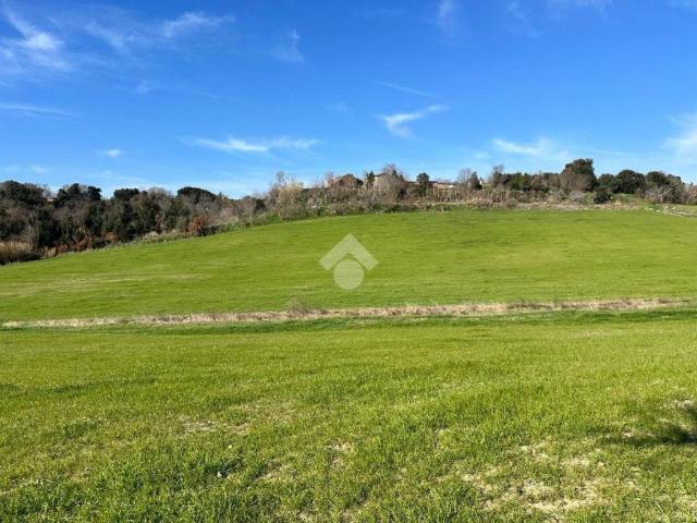Terreno in vendita a Tuscania VT