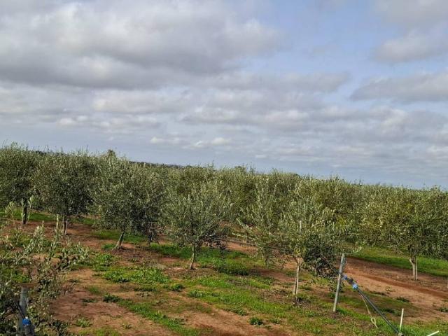 Terreno in vendita a Ugento LE