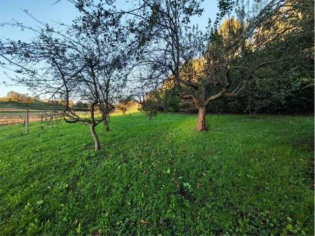 Terreno in vendita a Usmate Velate MB