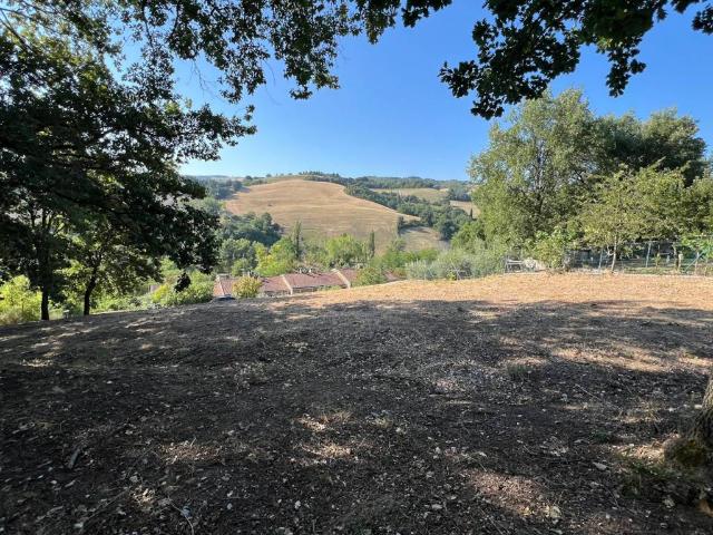 Terreno in vendita a Urbino PU