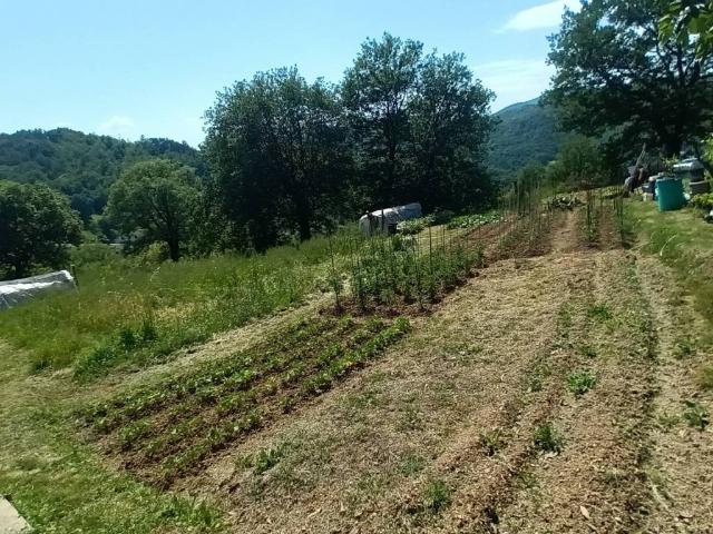 Terreno in vendita a Vaglia FI