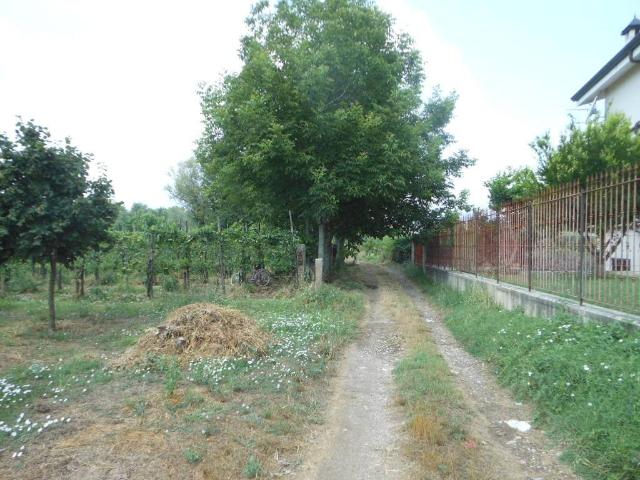 Terreno in vendita a Vairano Patenora CE