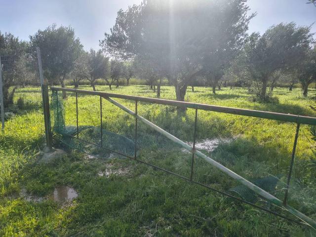 Terreno in vendita a Valderice TP