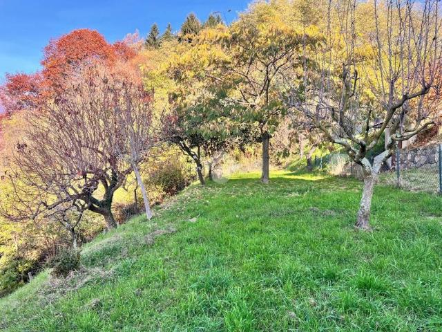Terreno in vendita a Valdilana BI