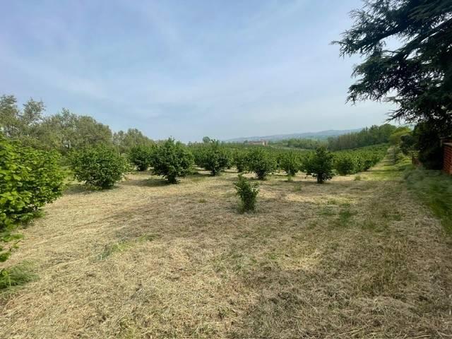 Terreno in vendita a Valenza AL