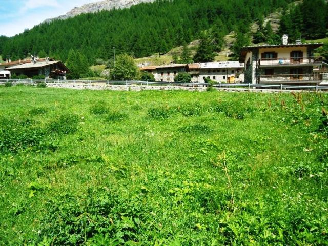 Terreno in vendita a Valgrisenche AO