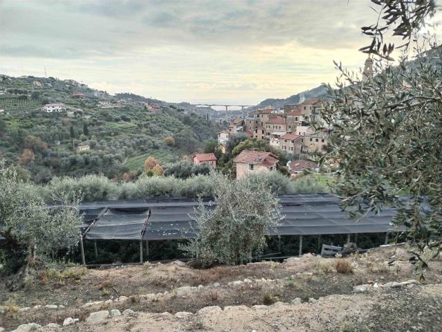 Terreno in vendita a Vallebona IM