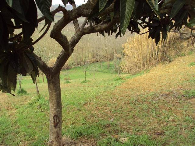 Terreno in vendita a Vasto CH