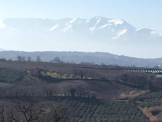 Terreno in vendita a Vasto CH