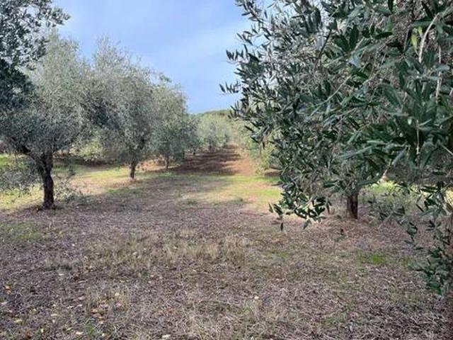 Terreno in vendita a Vasto CH