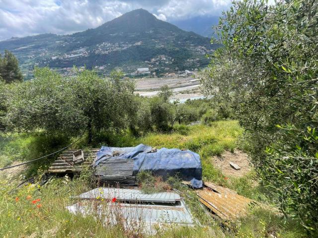 Terreno in vendita a Ventimiglia