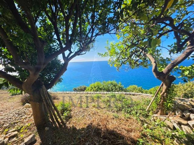 Terreno in vendita a Ventimiglia IM