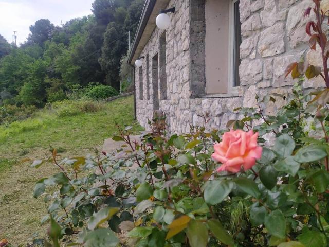 Terreno in vendita a Ventimiglia IM