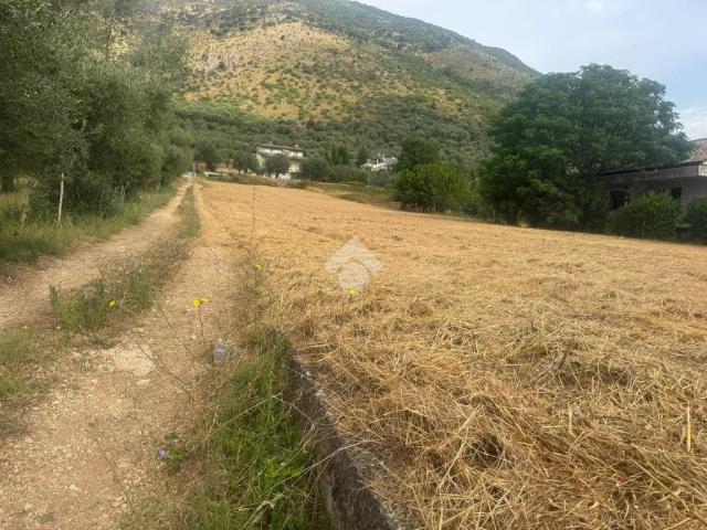 Terreno in vendita a Venafro IS