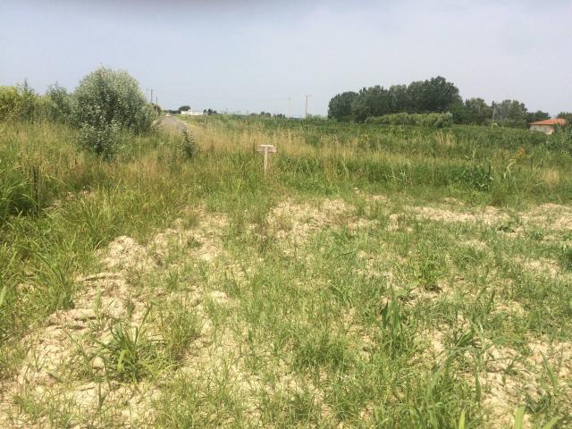 Terreno in vendita a Vecchiano, Nodica