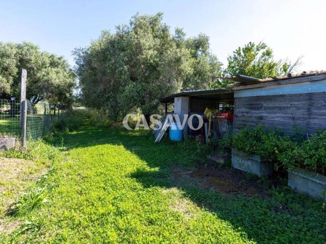 Terreno in vendita a Vecchiano PI