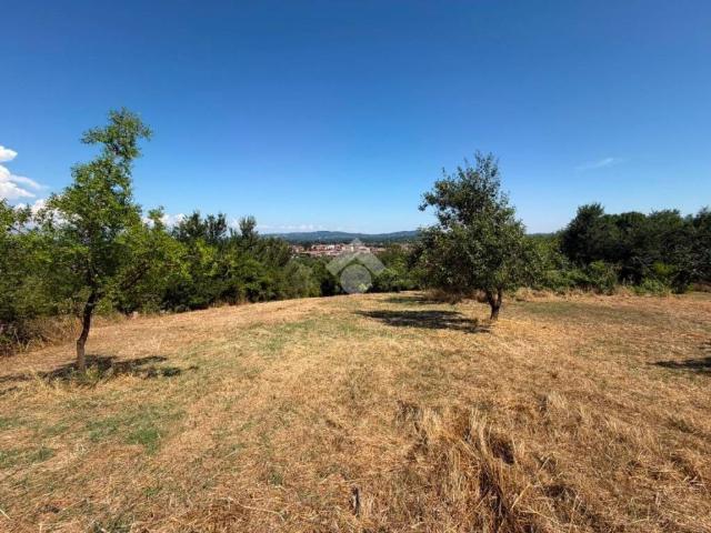 Terreno in vendita a Vejano VT