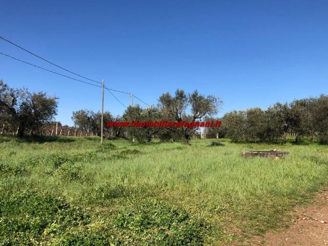 Terreno in vendita a Velletri RM