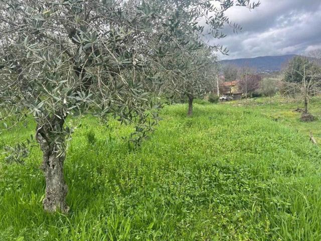 Terreno in vendita a Velletri RM