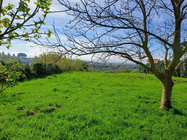 Terreno in vendita a Velletri RM