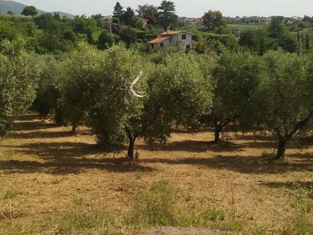 Terreno in vendita a Velletri RM