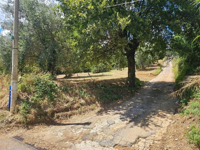 Terreno in vendita a Velletri RM