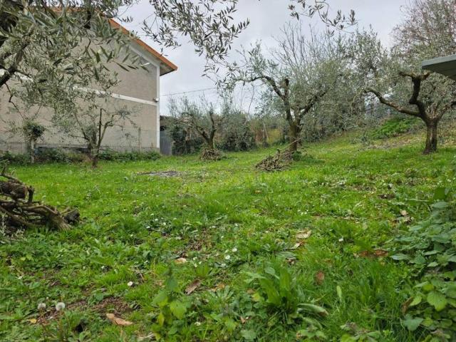 Terreno in vendita a Velletri RM