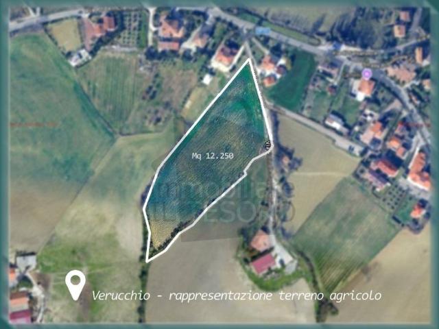 Terreno in vendita a Verucchio RN